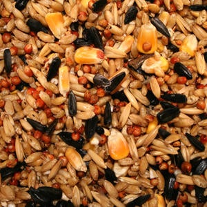 Grains/Seeds menu item