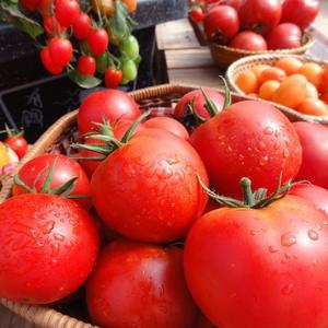 Tomatoes menu item